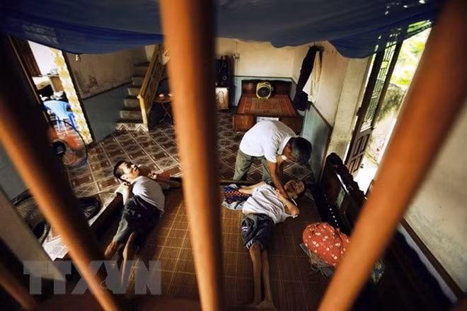 Aclaran en Parlamento Europeo impactos de dioxina en Vietnam ảnh 1