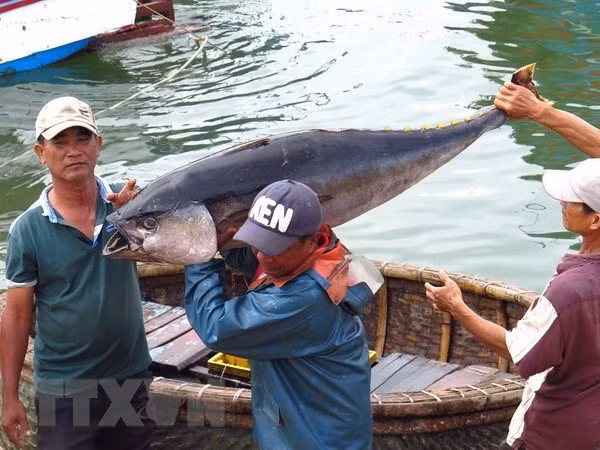 Funcionarios vietnamitas reciben entrenamiento para combatir pesca ilegal ảnh 1