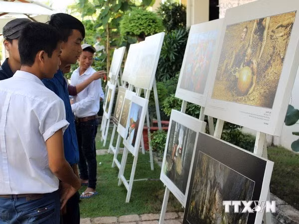 Exhiben en Hanoi obras fotográficas sobre patrimonios vietnamitas ảnh 1