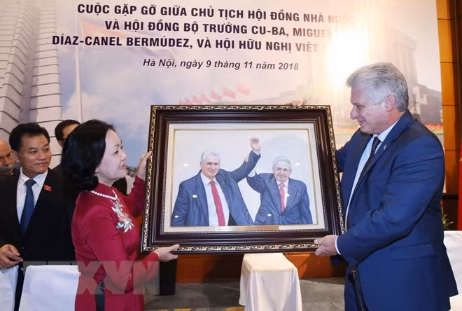 Presidente Díaz-Canel confía en durabilidad de solidaridad Vietnam-Cuba ảnh 1