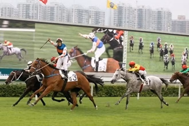 Capital vietnamita planea construir un hipódromo en Soc Son ảnh 1