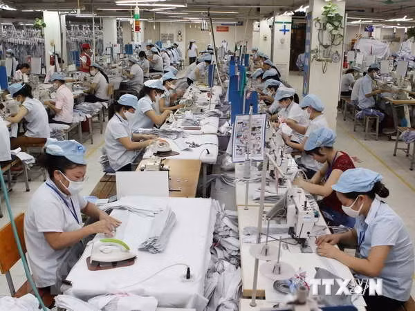 Sector de confecciones textiles y calzado de Vietnam se beneficiará de CPTPP, según expertos ảnh 1
