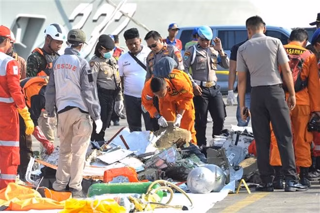 Impulsan actividades de identificación de víctimas de siniestro aéreo en Indonesia ảnh 1