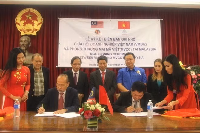 Fomentan la cooperación empresarial entre Vietnam y Malasia ảnh 1