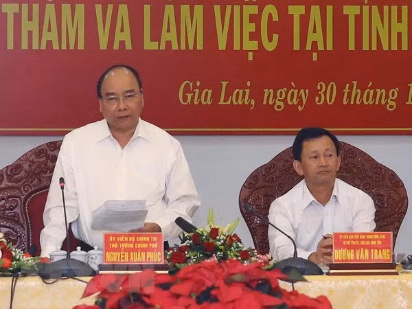 Premier vietnamita insta a provincia altiplana de Gia Lai aumentar la cobertura forestal ảnh 1