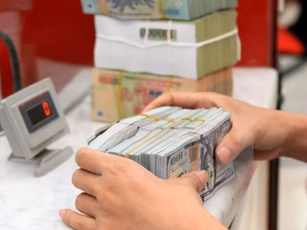 En alza flujo de remesas a Ciudad Ho Chi Minh en 10 meses ảnh 1