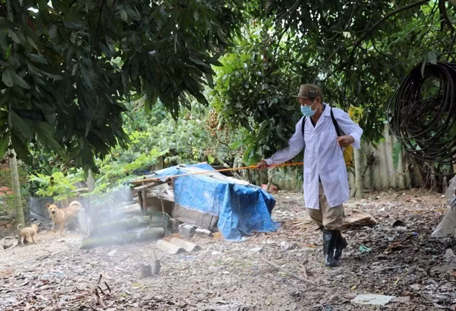 Provincia vietnamita de Phu Yen libre de la gripe aviar tipo H5N6 ảnh 1