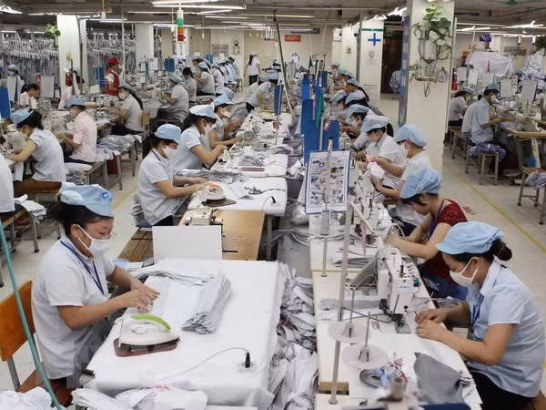  Industria textil de Vietnam por reducir dependencia de materias primas importadas ảnh 1