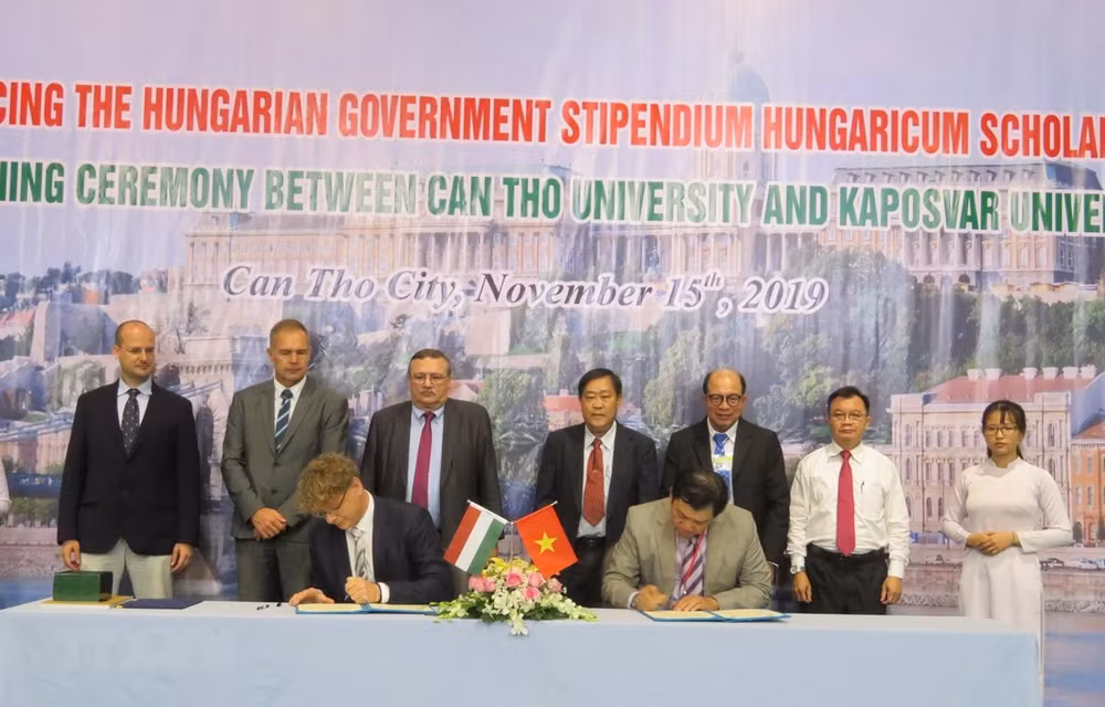 Ciudad vietnamita de Can Tho entabla cooperación con Hungría en educación ảnh 1