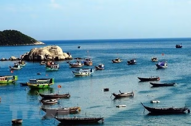 Se esfuerza Da Nang por convertirse en centro económico marítimo ảnh 1