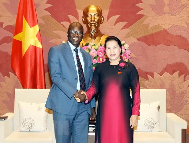 Vietnam será ejemplo para países en vías de desarrollo, afirma Banco Mundial ảnh 1