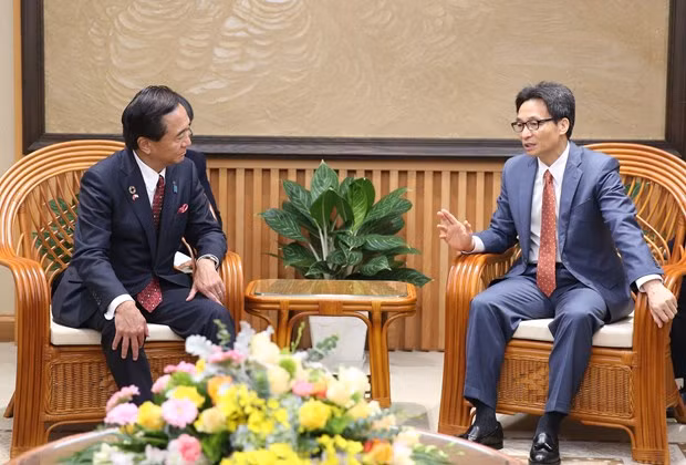 Destaca vicepremier de Vietnam importancia de cooperación con localidades japonesas ảnh 1