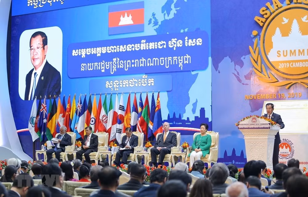 Participa Vietnam en Cumbre Asia- Pacífico 2019 ảnh 1