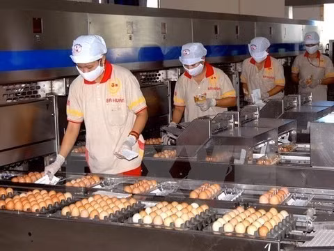 Alcanzarán exportaciones ganaderas de Vietnam 1,2 mil millones de dólares este año ảnh 1
