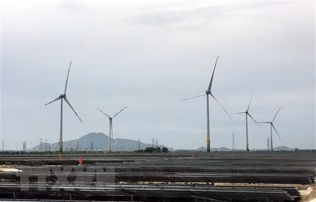 Vicepremier vietnamita recibe a ejecutivo del grupo irlandés de energía renovable ảnh 1