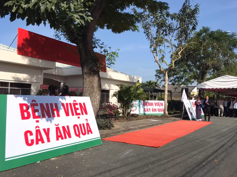 Implementan en Vietnam sistema hospitalario de árboles frutales ảnh 1