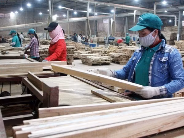 Vietnam entre principales países exportadores de madera a Alemania ảnh 1