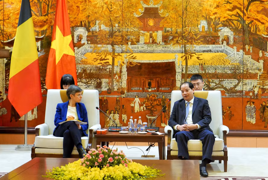 Impulsan cooperación entre Hanoi y provincia belga de Amberes ảnh 1