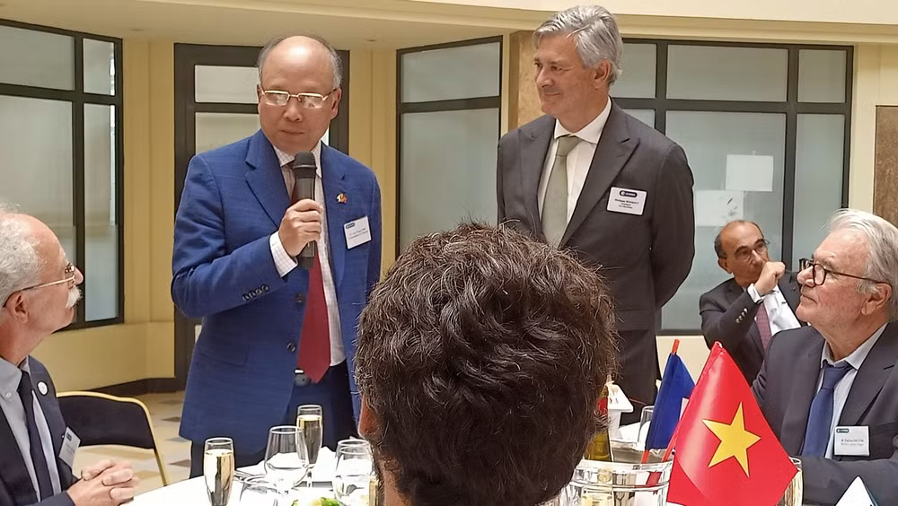 Empresas francesas desean cooperar con Vietnam en campo económico marítimo ảnh 1