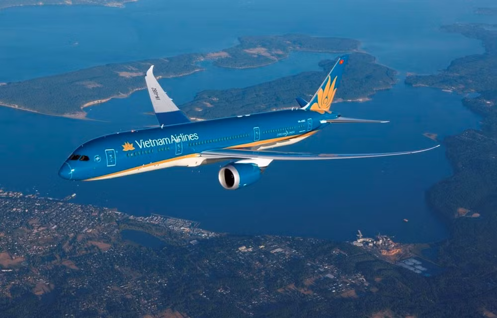 Avión de Vietnam Airlines aterriza de emergencia para salvar pasajero ảnh 1