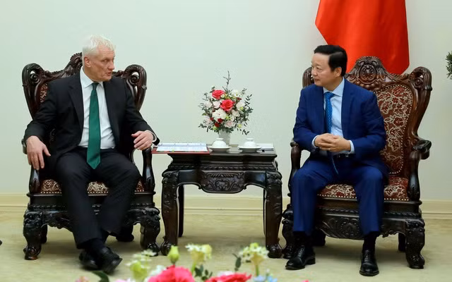 Vietnam desea adquirir experiencias británicas sobre energías renovables ảnh 1 Vietnam desea adquirir experiencias británicas sobre energías renovables ảnh 1