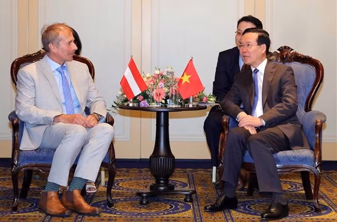 Presidente vietnamita recibe al titular de la Asociación de Amistad Austria-Vietnam ảnh 2