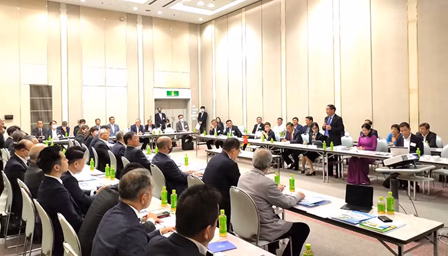 Provincia vietnamita convida a empresas japonesas a invertir en diversos campos ảnh 1