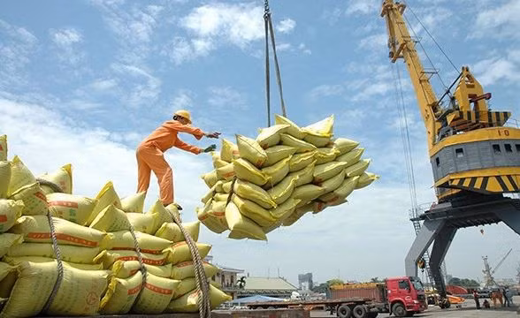 Vietnam sigue siendo el mayor proveedor de arroz de Filipinas ảnh 1