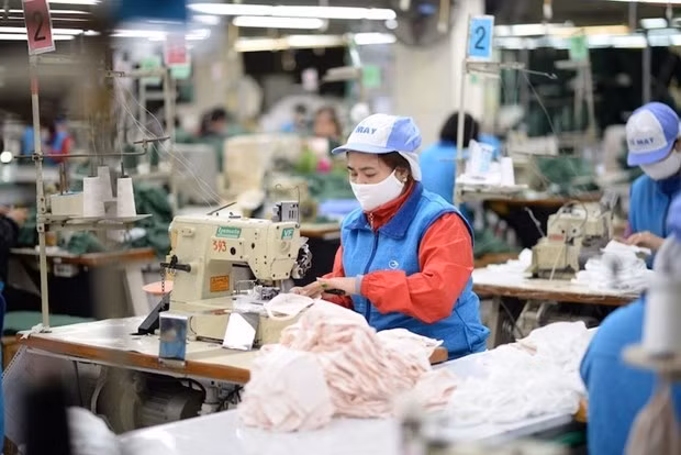 Empresas alemanas ponen expectativas en mercado de Vietnam, según encuesta ảnh 1