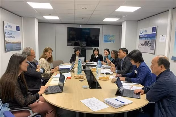 Vietnam actualiza a la CE sobre sus avances en la lucha contra la pesca ilegal ảnh 1