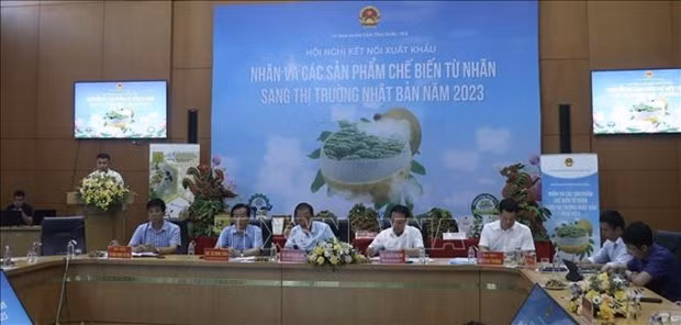 Provincia de Vietnam promueve exportación de longan a Japón ảnh 2