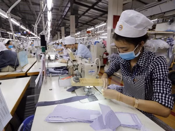 Número de nuevas empresas en Vietnam registra alto aumento ảnh 1