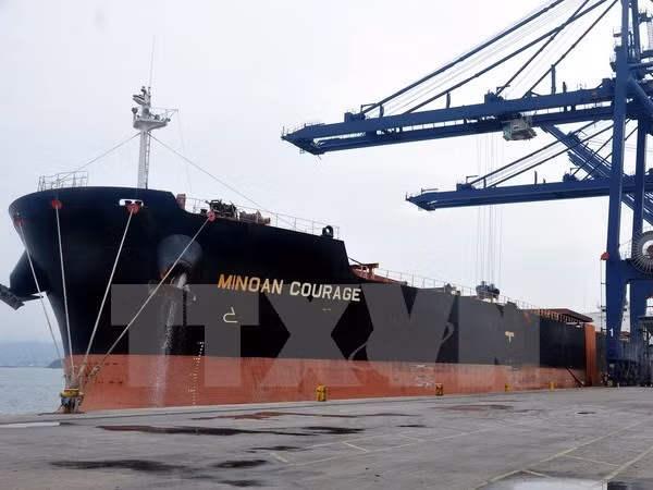  Vietnam por contribuir al cumplimiento de objetivos de Bogor ảnh 1