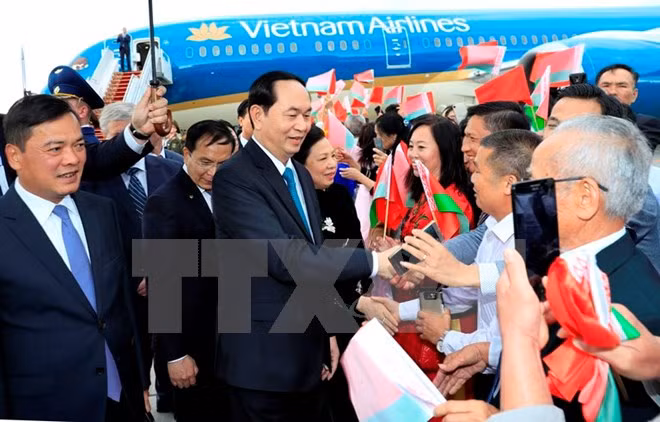 Vietnamitas residentes en exterior, importante fuerza para desarrollo nacional, confirma presidente Dai Quang ảnh 1
