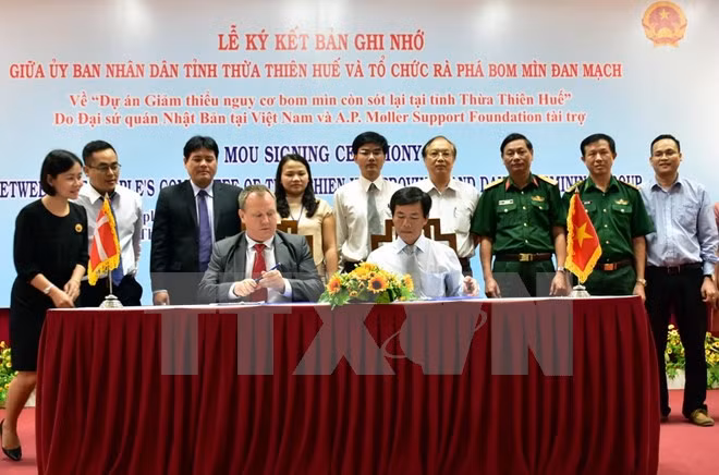 Ofrecen ayuda internacional para remoción de explosivos de guerra en Vietnam ảnh 1