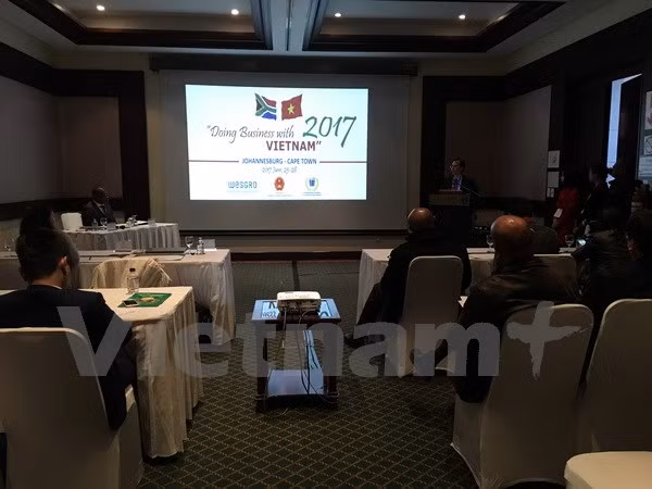 Buscan Vietnam y Sudáfrica medidas para robustecer relaciones comerciales ảnh 1