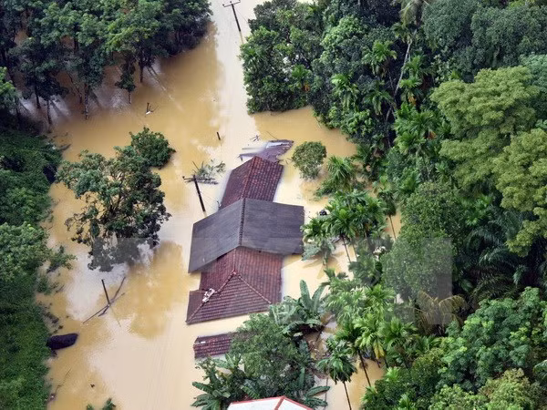 Presentan libro japonés sobre mejoramiento de capacidad en respuesta a desastres ảnh 1