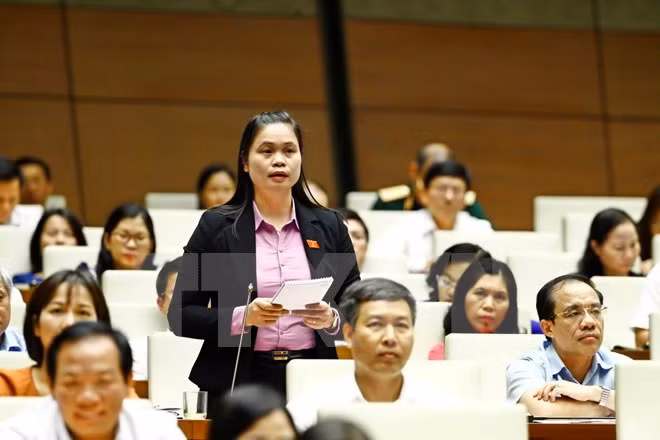 Interpelaciones del Parlamento vietnamita ahondan en asuntos clave ảnh 1