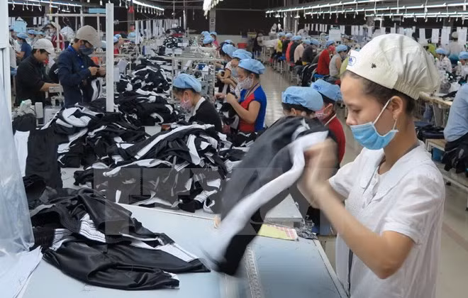 Exportaciones de Vietnam a EE.UU mantienen su curva ascendente ảnh 1