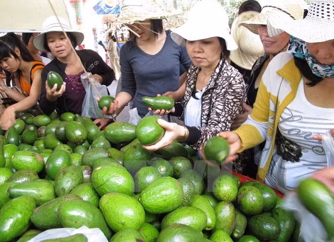 Inauguran en Vietnam festival de frutas de provincias sureñas ảnh 1