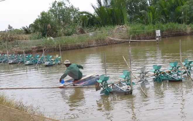 Vietnam acelera la modernización de nuevas zonas rurales ảnh 1