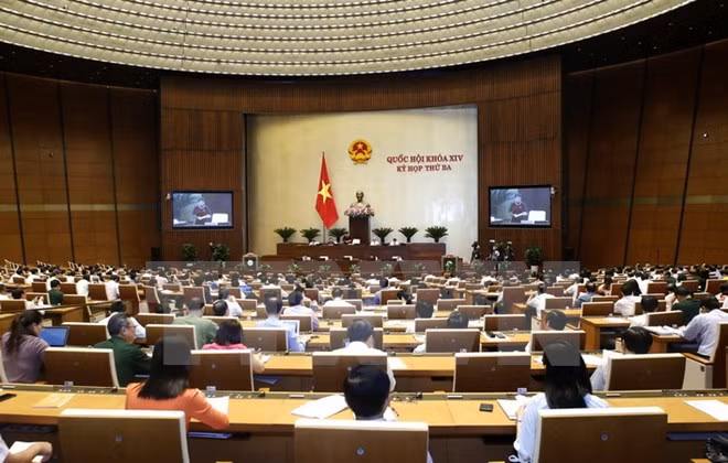 Asamblea Nacional de Vietnam continúa interpelación sobre asuntos agrícolas ảnh 1