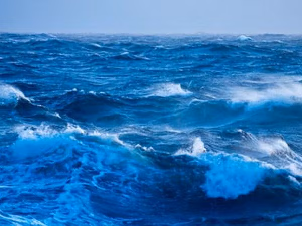 Vietnam celebra Día Mundial del Océano con diversas actividades ảnh 1