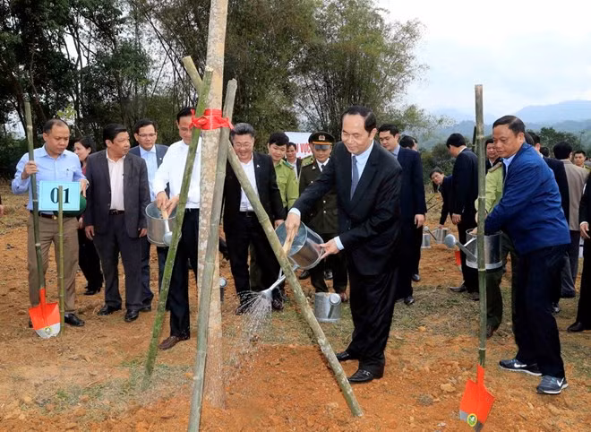 Convocan en Bac Kan campaña para sembrar árboles ảnh 1