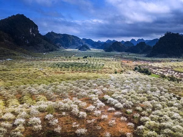 Resaltan importancia de la hidrometeorología en el desarrollo sostenible ảnh 1