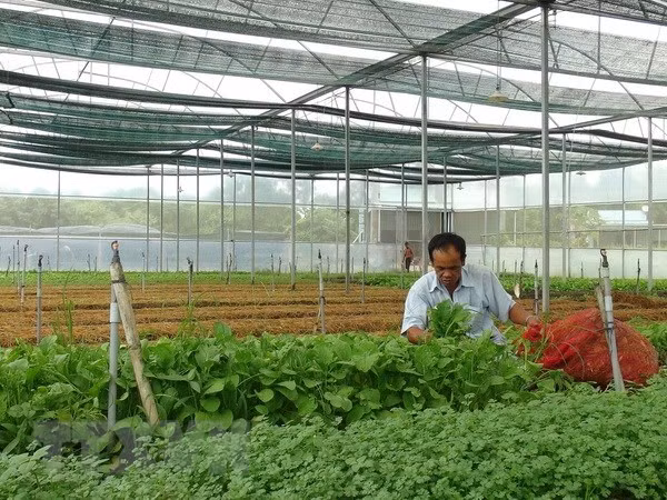 Realizan concurso para emprendedores jóvenes en zonas rurales ảnh 1