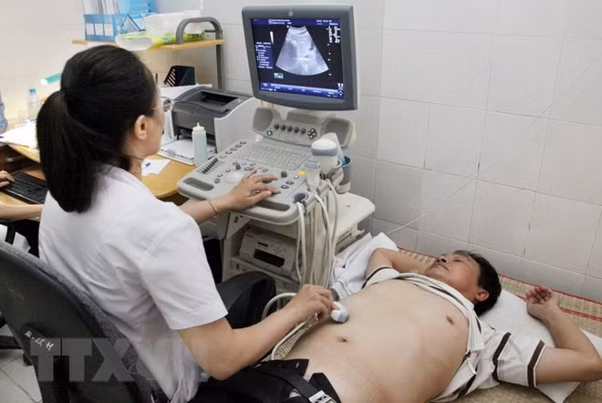 Urgen a intensificar el acceso de información sobre hepatitis en Vietnam ảnh 1