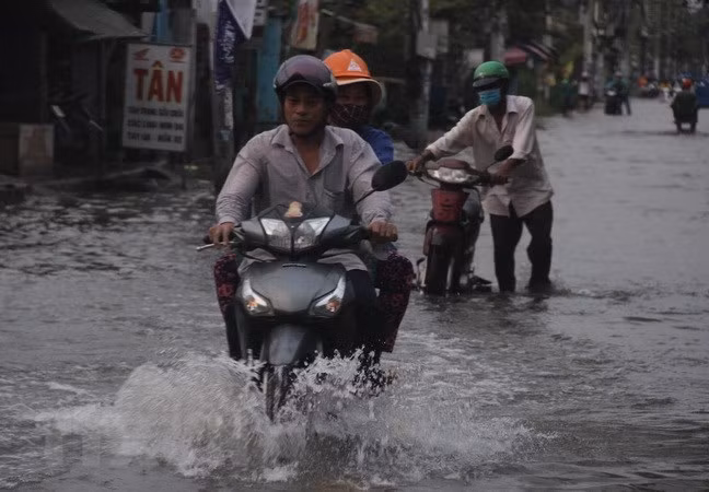 Países Bajos aspira a cooperar con Vietnam en reducción de impactos del cambio climático ảnh 1