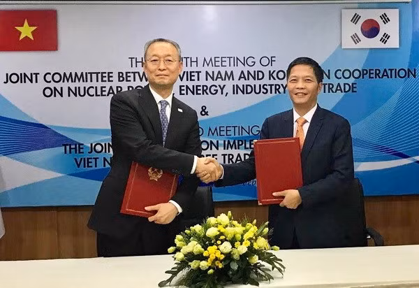 Vietnam y Sudcorea por elevar intercambio comercial a 100 mil millones de USD en 2020 ảnh 1