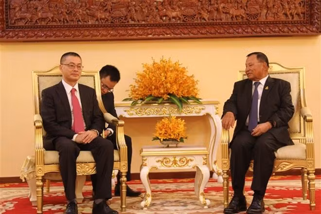 Entregan obsequios de Parlamento vietnamita al Senado de Camboya ảnh 1